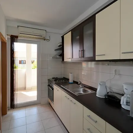 Maslina Trogir