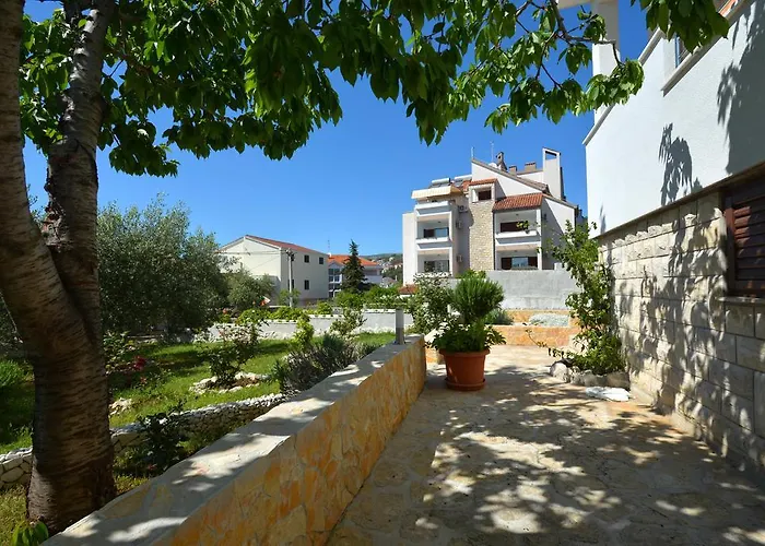 Maslina Trogir