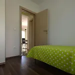 Maslina Trogir