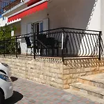 Maslina Trogir