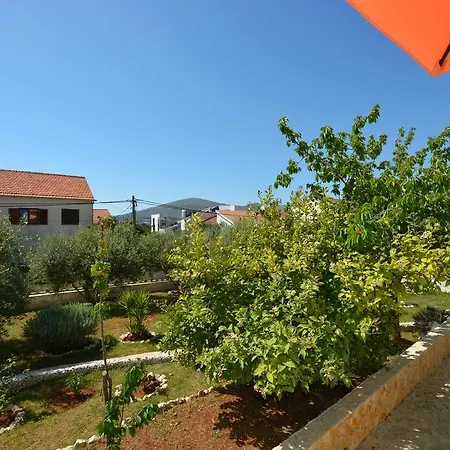 Maslina Trogir