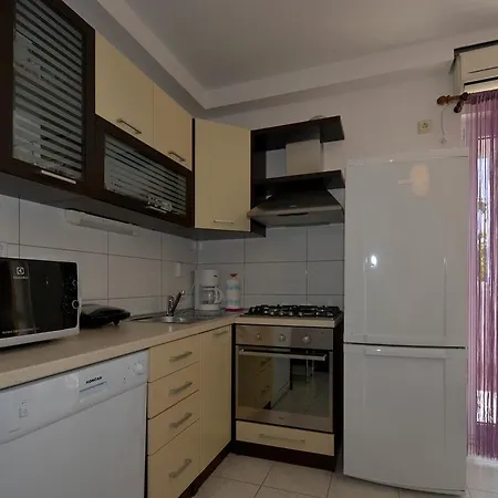 Maslina Trogir