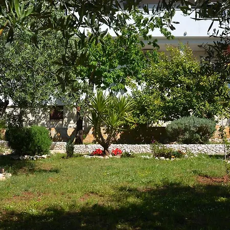 Apartamento Maslina Trogir