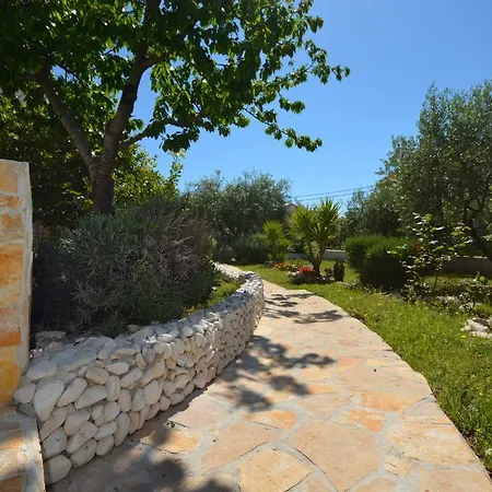 Apartman Maslina *