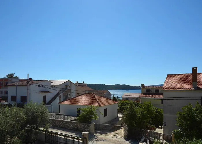 Maslina Trogir