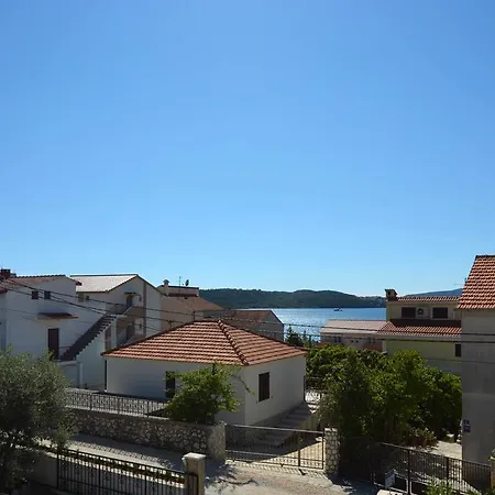 Maslina Trogir